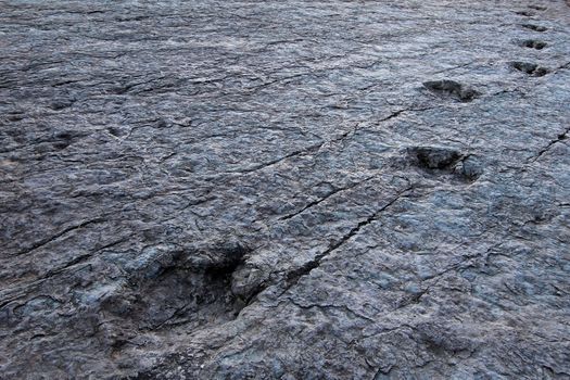 Huge dinosaur footprints, valley of Maragua, Bolivia