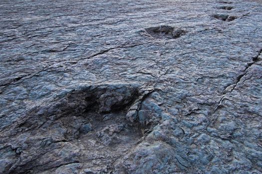 Huge dinosaur footprints, valley of Maragua, Bolivia