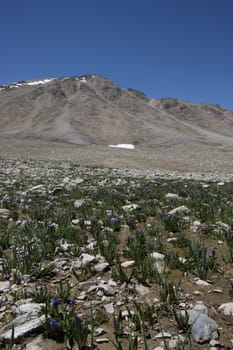 Pamir region Russian Federation Central Asia mountain landscapes