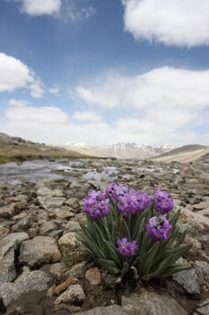 Pamir region Russian Federation Central Asia mountain landscapes