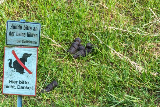 Dog feces on a meadow next to a sign with lettering in German "No Dog Popping"