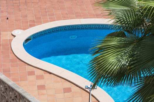 Outdoor swimming pool, whirlpool with blue tiles and palm