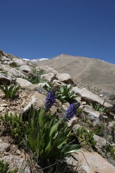 Pamir region Russian Federation Central Asia mountain landscapes