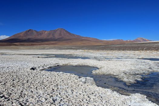 Laguna Ramaditas, altiplano, southern Bolivia South America