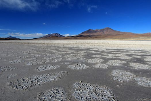 Laguna Ramaditas, altiplano, southern Bolivia South America