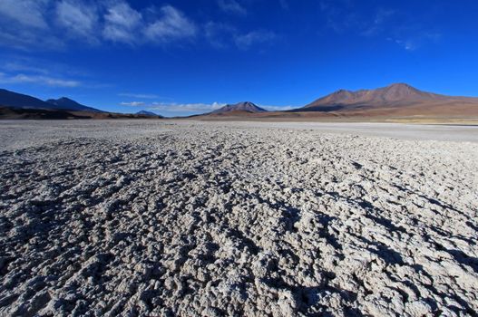 Laguna Ramaditas, altiplano, southern Bolivia South America