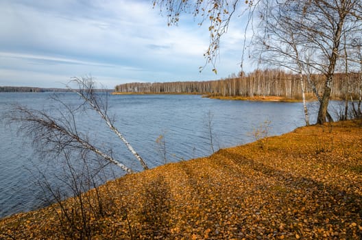Landscape on a river in Golden autumn