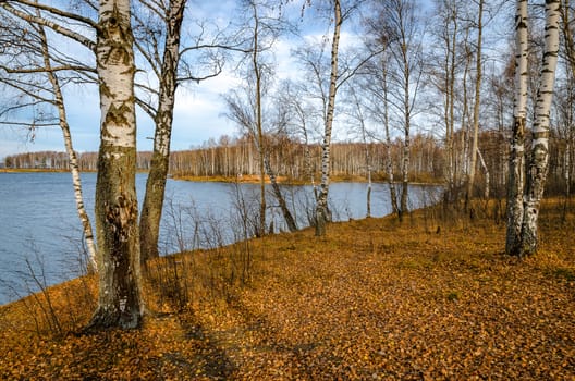Landscape on a river in Golden autumn