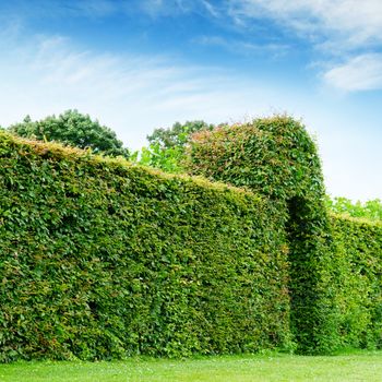 green fence in a summer park and blue sky