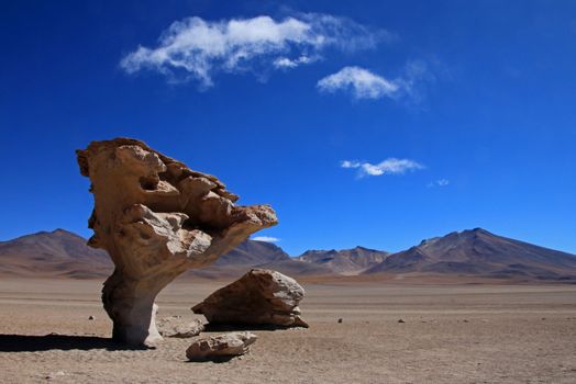 The famous rock formation stone tree or arbol de piedra in the desert of southwest Bolivia, South America