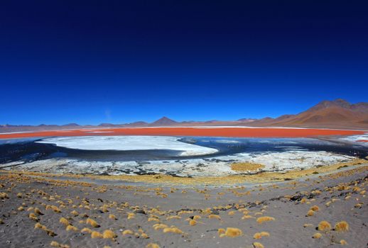 The nice red colored Laguna Colorada, fisheye prespective, southern Bolivia, South America