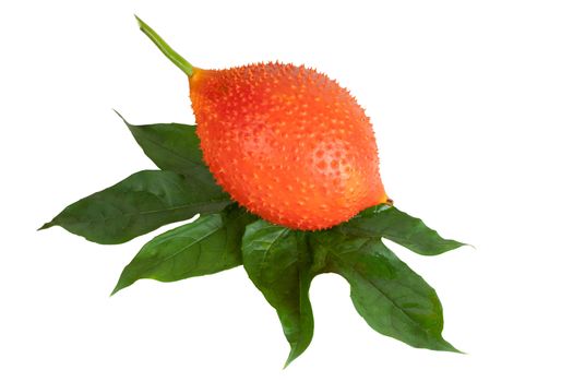 Baby Jackfruit isolated (Or Cochinchin Gourd, Spiny Bitter Gourd, Sweet Gourd, Momordica cochinchinensis) on white objects with clipping paths