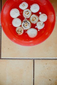 Raw mushrooms in bowl in the kitchen