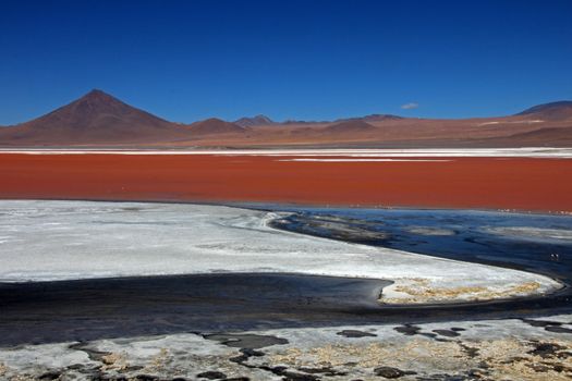 The nice red colored Laguna Colorada in southern Bolivia, South America