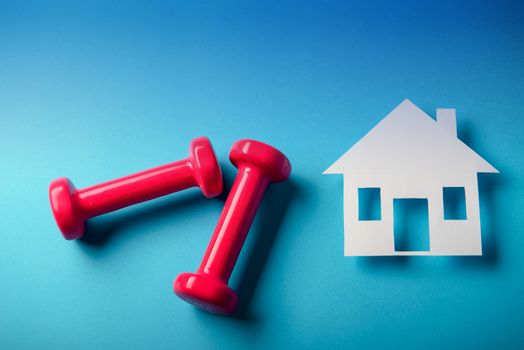 Pair of pink 1 kg dumbbells on blue background and water bottle