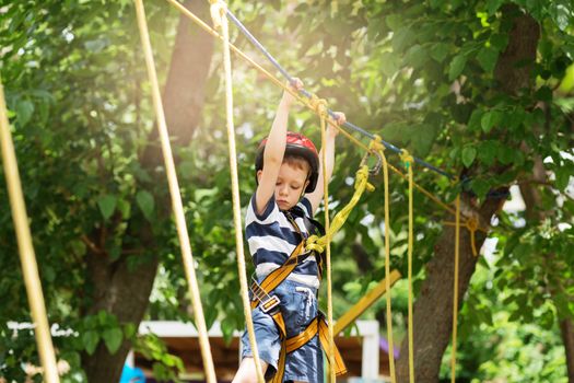 Kids climbing in adventure park. Boy enjoys climbing in the ropes course adventure. Child climbing high wire park. Happy boys playing at adventure park, holding ropes and climbing wooden stairs.