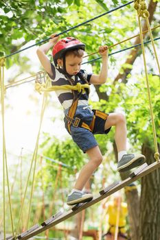 Kids climbing in adventure park. Boy enjoys climbing in the ropes course adventure. Child climbing high wire park. Happy boys playing at adventure park, holding ropes and climbing wooden stairs.