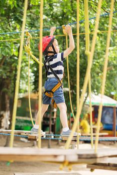 Kids climbing in adventure park. Boy enjoys climbing in the ropes course adventure. Child climbing high wire park. Happy boys playing at adventure park, holding ropes and climbing wooden stairs.