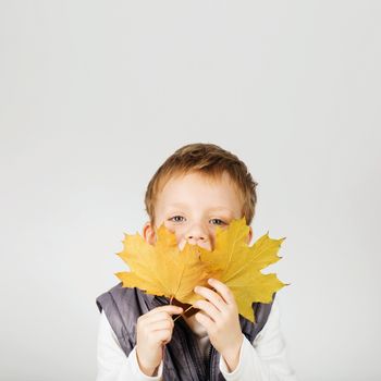 Portrait of happy joyful beautiful little boy against white background. Child holding a yellow maple leaves. Kid throws up a autumn yellowed foliage