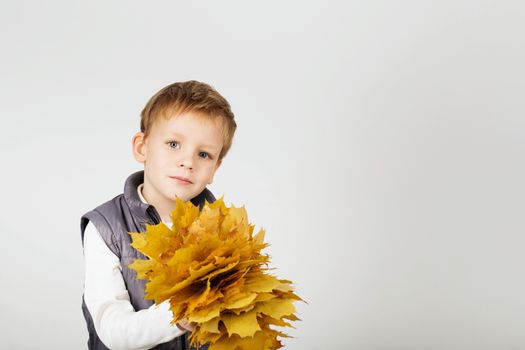 Portrait of happy joyful beautiful little boy against white background. Child holding a yellow maple leaves. Kid throws up a autumn yellowed foliage