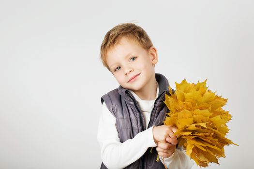 Portrait of happy joyful beautiful little boy against white background. Child holding a yellow maple leaves. Kid throws up a autumn yellowed foliage