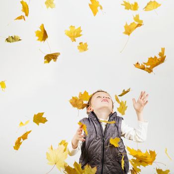 Portrait of happy joyful beautiful little boy against white background. Child holding a yellow maple leaves. Kid throws up a autumn yellowed foliage