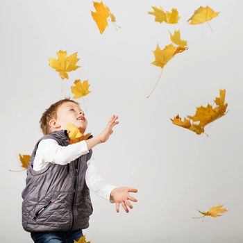 Portrait of happy joyful beautiful little boy against white background. Child holding a yellow maple leaves. Kid throws up a autumn yellowed foliage