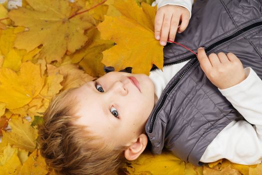 Portrait of a cheerful little boy wallow in fall foliage. Smiling funny little boy covered with autumn leaves. Little boy lying and having fun among multicolored autumn leaves in the park