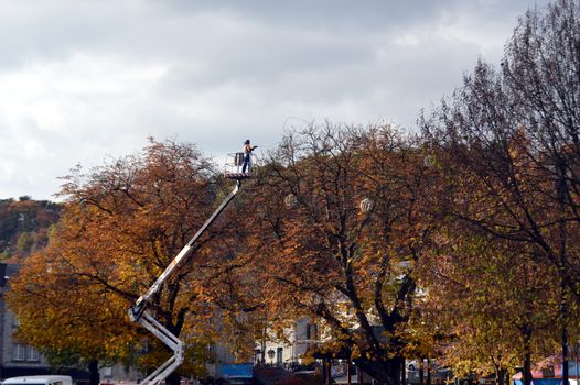 Placing Christmas wreaths on trees with a pod