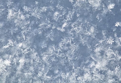Surface of fresh snow in winter, macro shot