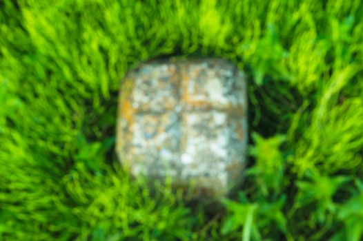 Blurred stone and green grass around background texture, top view