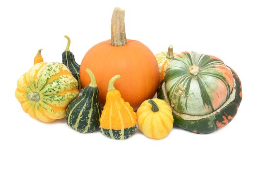 Group of cucurbits - pumpkin, Festival squash, Turks turban and ornamental gourds, isolated on a white background