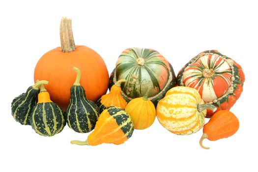 Selection of boldly coloured and striped gourds, pumpkins and squashes, isolated on a white background