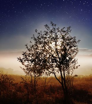 star sky with fog over countryside at autumn