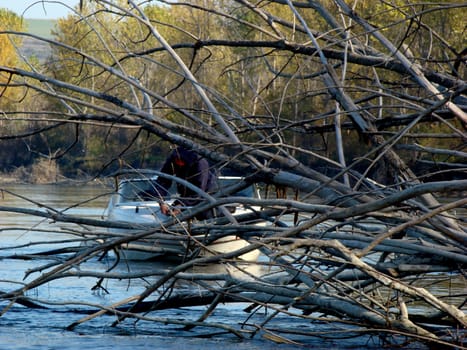 Autumn cold and quiet in November on the Danube.
Fishermen fishing boat through fallen trees in the river