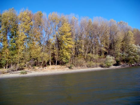 Autumn cold and quiet islands and channels of the Danube River.
It sees the Danube shores, islands, channels, floodplain forests, shrubs, grasses, lakes, dressed in specific colors of the autumn season.
