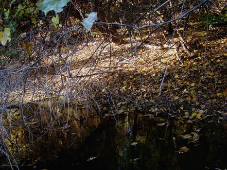Autumn cold and quiet islands and channels of the Danube River.
It sees the Danube shores, islands, channels, floodplain forests, shrubs, grasses, lakes, dressed in specific colors of the autumn season.