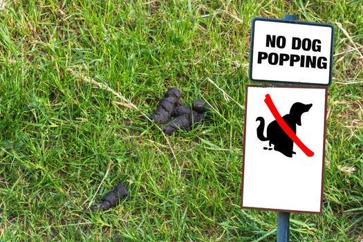 Dog feces on a meadow next to a sign with lettering No Dog Popping