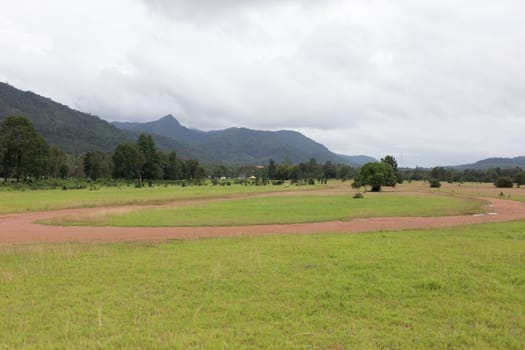 field of grass in mountain