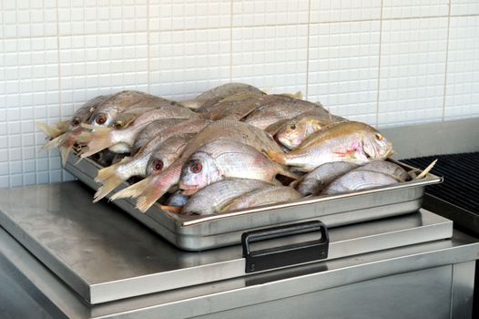 Tray of sea bream whole for grills.