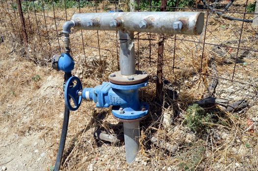 A join of water for the irrigation of the cultures.