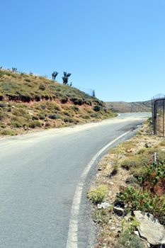 A country road in Crete with trees and of the greenery.