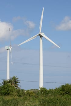Green meadow with Wind turbines generating electricity at San Rafael on Cuba