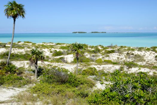 Cayo Guillermo, Cuba - 16 january 2016: people walking in clear water of Cayo Guillermo beach, Cuba