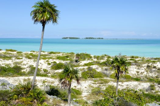 Cayo Guillermo, Cuba - 16 january 2016: people walking in clear water of Cayo Guillermo beach, Cuba