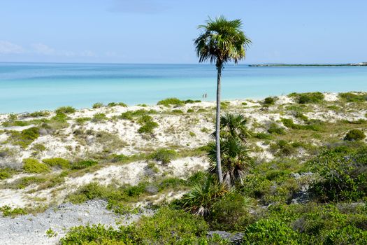 Cayo Guillermo, Cuba - 16 january 2016: people walking in clear water of Cayo Guillermo beach, Cuba