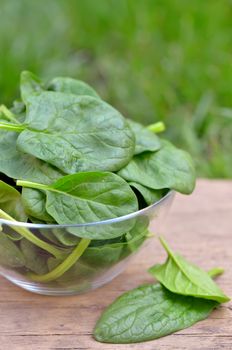 Spinach in a glass bowl on the wooden table