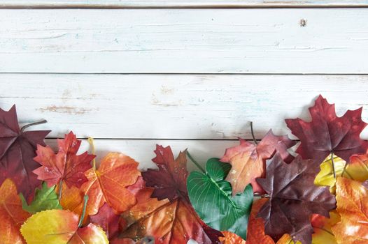 Autumn maple leaves over a wooden background with space 