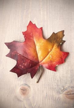 Autumn leaf on top of a wooden background