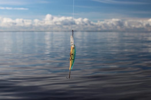 wobbler on the fishing line against the blue sea